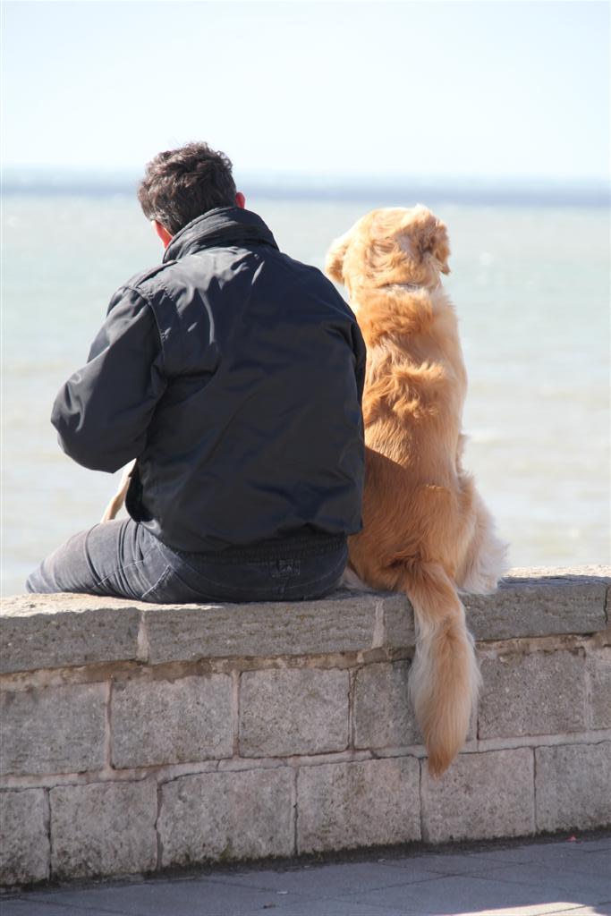 Intenso invierno mar del plata